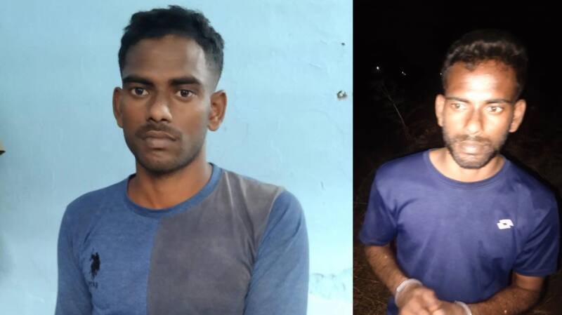 கர்ப்பிணி பெண்ணுக்கு பாலியல் தொல்லை - ஓடும் ரயிலில் இருந்து கீழே தள்ளிவிட்ட கொடுமை! title=