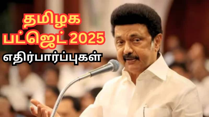 தமிழக பட்ஜெட் 2025: இந்த &#039;முக்கிய அறிவிப்புகள்&#039; வெளியாகுமா? - மக்களின் எதிர்பார்ப்பு!