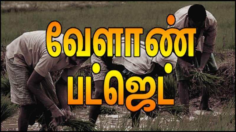 வேளாண் பட்ஜெட் 2025: விவசாயிகள் எதிர்பார்ப்புகள் என்ன? வேளாண்மை கூட்டமைப்பினர் கோரிக்கை