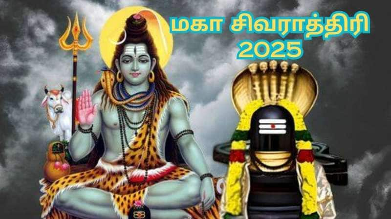 மகா சிவராத்திரி 2025: ஆனந்த வாழ்வைப் பெற உச்சரிக்க வேண்டிய மந்திரங்கள்... பூஜை விதிகள் title=