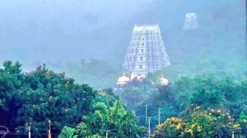 திருப்பதி : டிக்கெட் முன்பதிவு செய்யாமல் சாமி தரிசனம் செய்வது எப்படி?