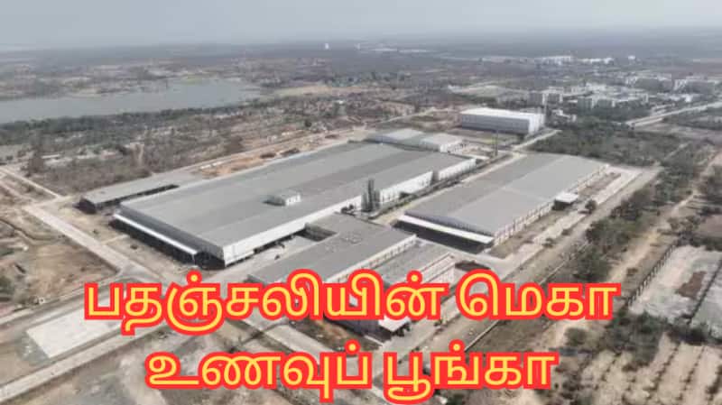ஆசியாவின் மிகப்பெரிய பதஞ்சலியின் மெகா உணவுப் பூங்கா... சிறப்பம்சங்கள் என்ன?