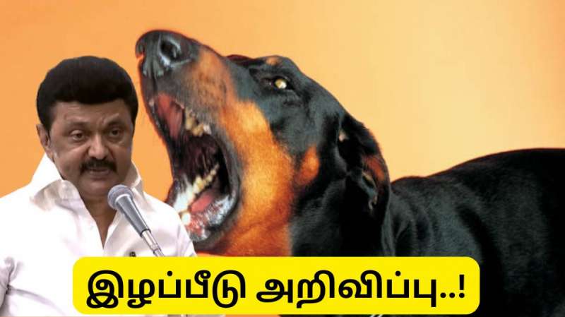 நாய் கடித்து உயிரிழக்கும் மாடு, ஆடு, கோழிகளுக்கு இழப்பீடு கொடுக்கும் தமிழ்நாடு அரசு - முழு விவரம்