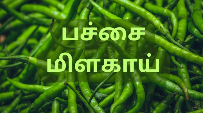 சுள்ளென்ற பச்சை மிளகாயில் நிறைந்திருக்கும்... சூப்பர் நன்மைகள்