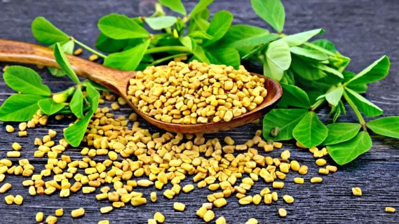 நோயற்ற வாழ்வுக்கு... காலையில் வெறும் வயிற்றில் ஒரு ஸ்பூன் ஊற வைத்த வெந்தயம்