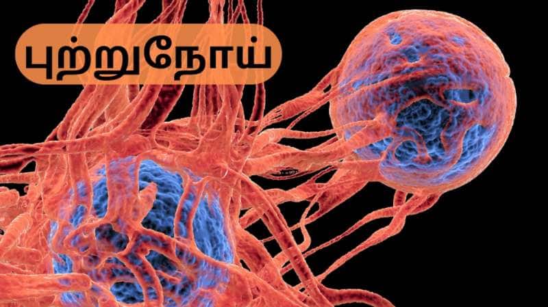 Preventing Cancer: புற்றுநோய் வராமல் இருக்க தினமும் நடங்க... டாக்டர் கூறும் அட்வைஸ்