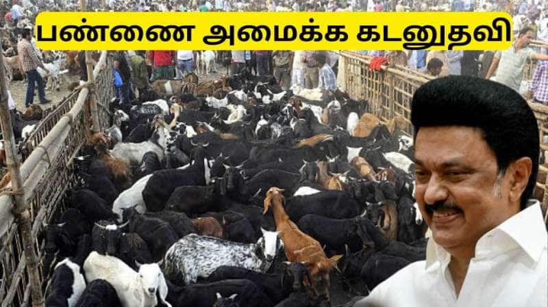 ஆடு, மாடு பண்ணை அமைக்கு சூப்பர் வாய்ப்பு - தமிழ்நாடு அரசு கொடுத்த லேட்டஸ்ட் குட்நியூஸ்