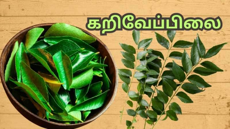 கொலஸ்ட்ரால் முதல் வெயிட் லாஸ் வரை... வெறும் வயிற்றில் 10 கறிவேப்பிலை போதும்