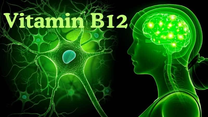 மூளை - நரம்புகளை பாதிக்கும் வைட்டமின் பி12 குறைபாடு... அறிகுறிகளும்... தீர்வுகளும்