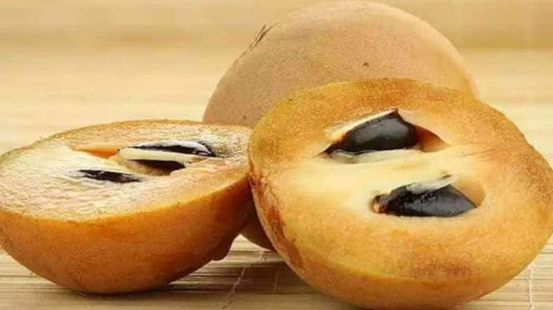 சப்போட்டா பழத்தில் இருக்கு சூப்பரான ஆரோக்கிய நன்மைகள்: லிஸ்ட் இதோ