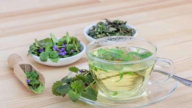 கோடையில் பித்த தோஷத்தை சரி செய்ய உதவும் டயட் பிளான்
