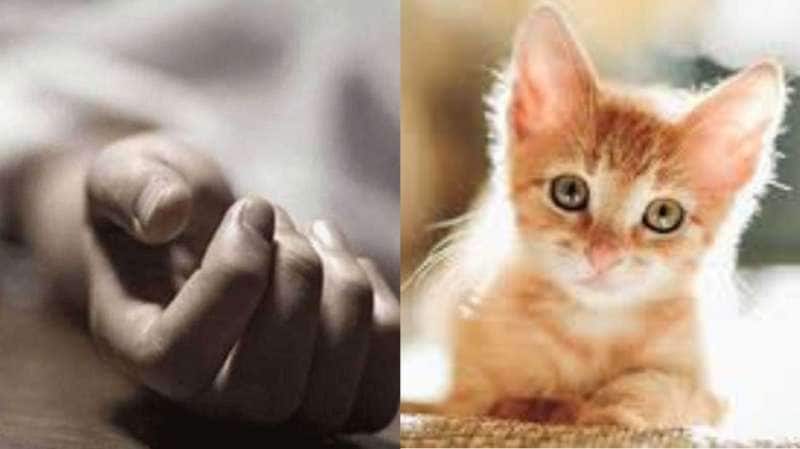 அரசு மருத்துவமனையிலேயே தற்கொலை செய்து கொண்ட இளைஞர்.. மதுரையில் அதிர்ச்சி! 
