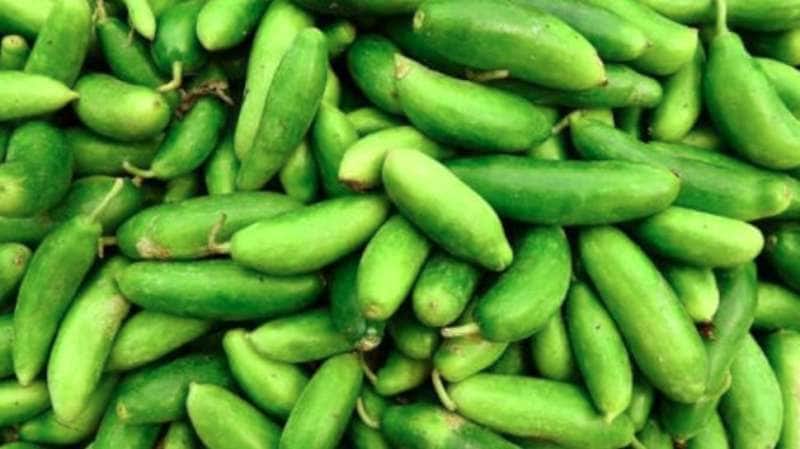 உடல் எடையும் சரி, சுகர் சரி..கோவைக்காய் உடலில் சத்து தரும் சூப்பர் ஹீரோ! டயடுக்கு பக்கா பொருத்தம்!