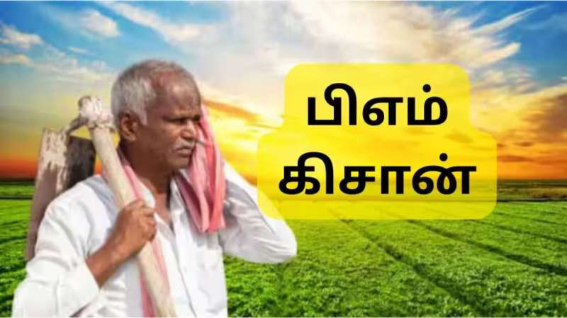 PM Kisan 20வது தவணை யாருக்கெல்லாம் கிடைக்காது?  முக்கிய அப்டேட் இதோ