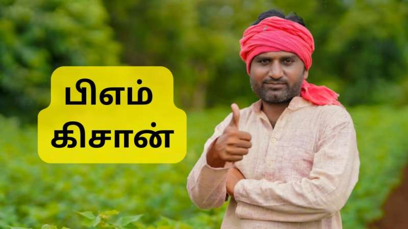 PM Kisan 20வது தவணை விரைவில் வருகிறது: இந்த ஆவணங்கள் தயாராக உள்ளதா?