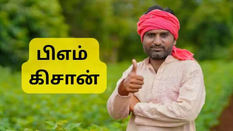 PM Kisan 20வது தவணை: இதை செய்வது மிக அவசியம், அரசின் முக்கிய அப்டேட்