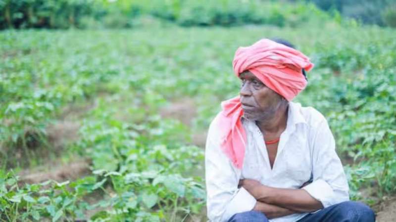 PM Kisan 20வது தவணை இவர்களுக்கு கிடைக்காது: காரணம் இதுதான், உடனே சரிசெய்ய இதை செய்யவும்