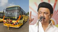 வார இறுதி, மூகூர்த்தம்: ஊருக்கு போகும் மக்களுக்கு... தமிழக அரசின் நல்ல செய்தி