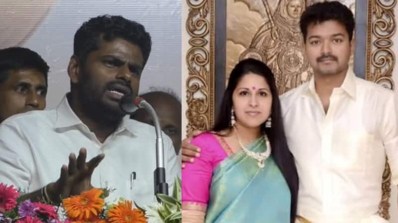 விஜய் - சங்கீதா விவாகரத்து: எல்லா தலைவருக்குமே இருக்கும்... அண்ணாமலை சொன்ன முக்கிய பாயிண்ட்