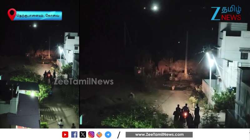 Young men run after an elephant that entered the village