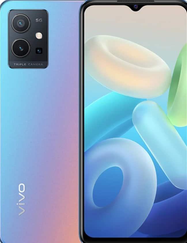 vivo